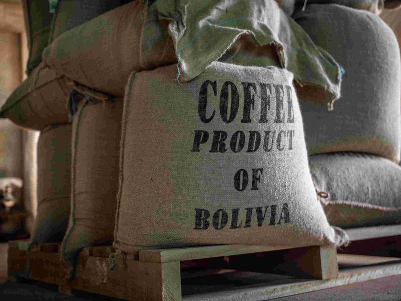 What’s So Special About Single Origin Coffee?
