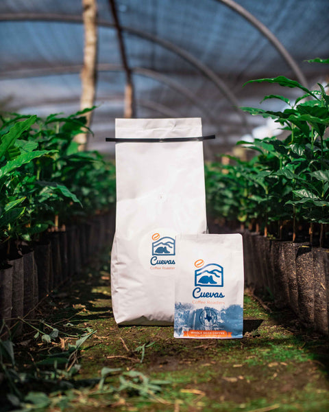 Coffee Blend vs. Single-Origin Coffee